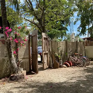 Hotel Selva - Free Bike, Bacalar
